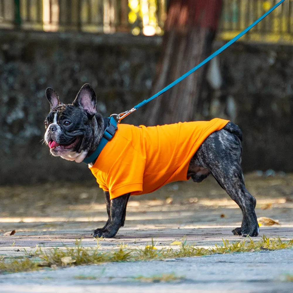 Dear Pet Solid Orange Dog T-Shirt